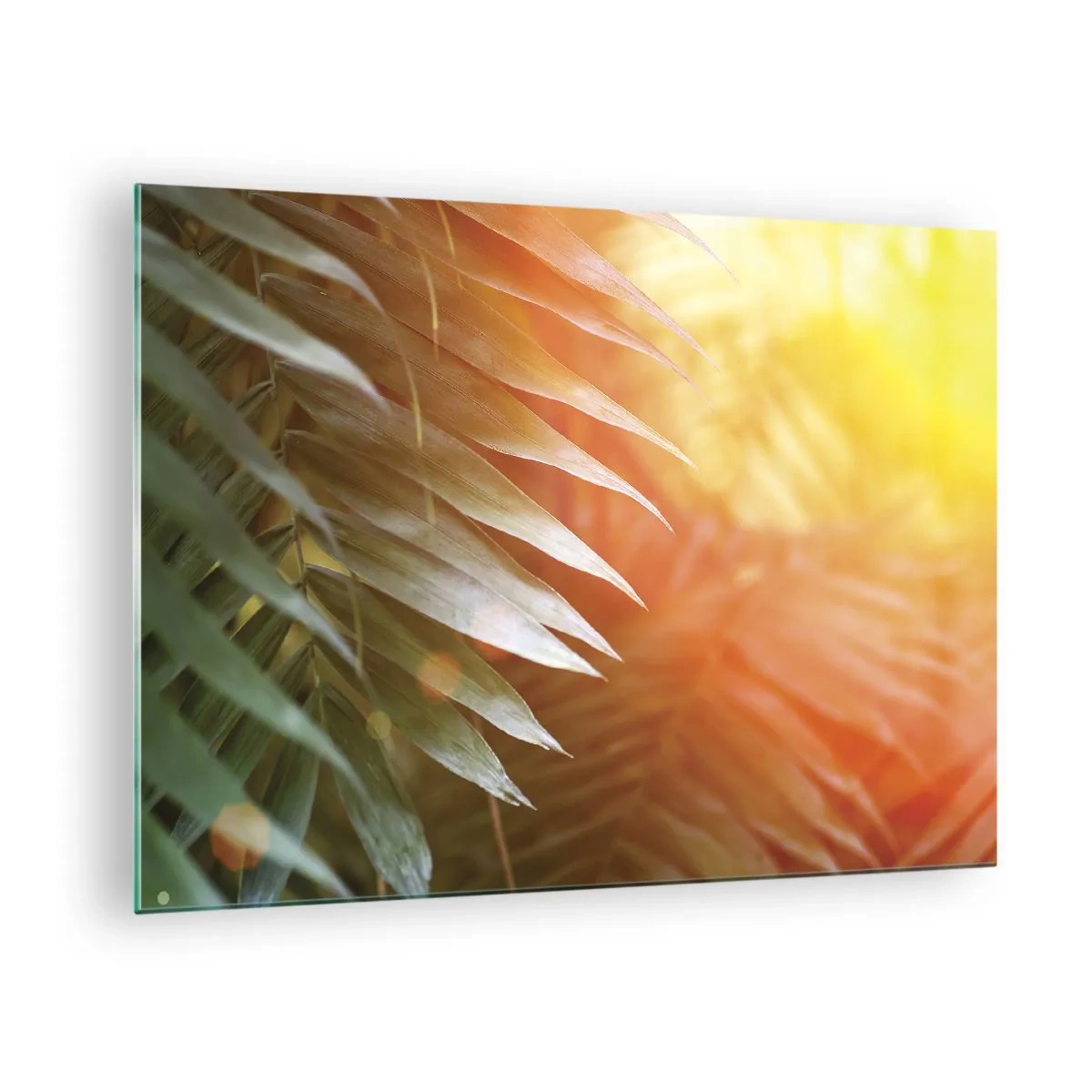 Schilderen op glas - Palmbladeren in de gloed van de ochtendzon in een tropische omgeving - 70x50cm - Ochtend in de jungle - Moderne wanddecoratie voor woonkamer en slaapkamer ARTTOR