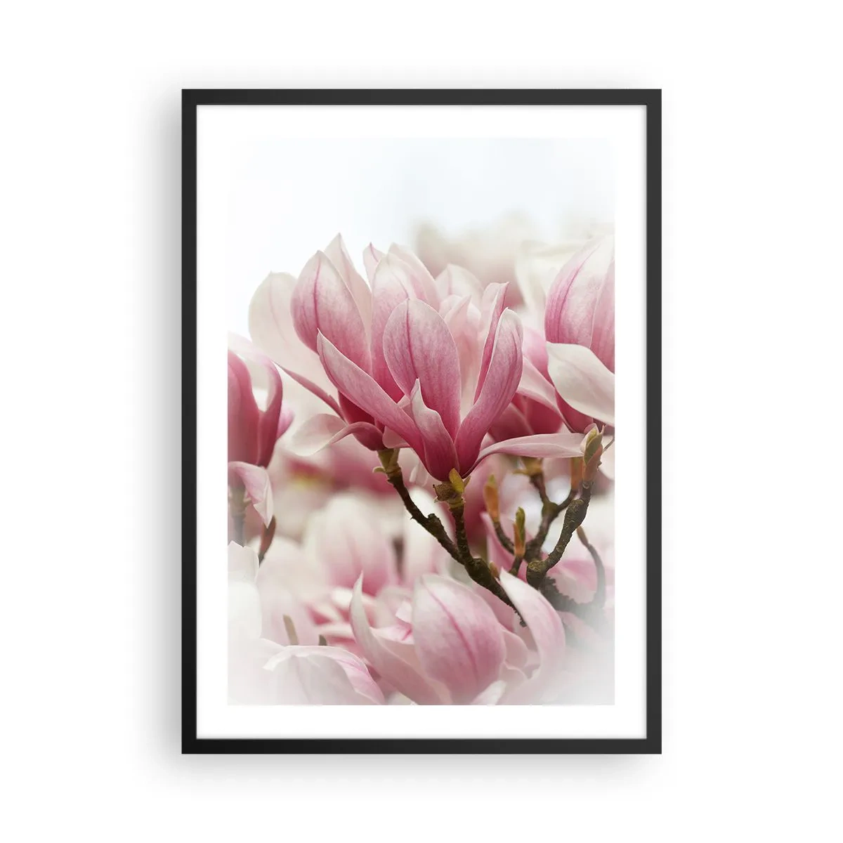 Poster in een zwarte lijst - Lentebloemen - 50x70cm - Lente bloemen - Moderne wanddecoratie voor woonkamer en slaapkamer ARTTOR
