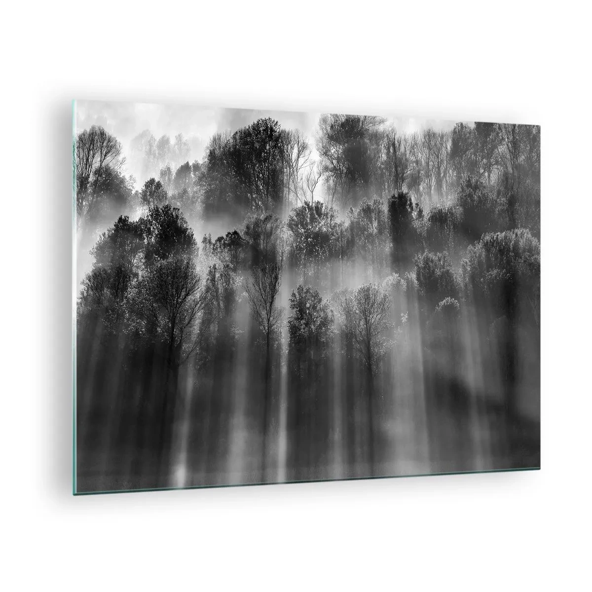 Schilderen op glas - Zwarte en witte lichtstralen die het bos binnendringen - 70x50cm - In stromen van licht - Moderne wanddecoratie voor woonkamer en slaapkamer ARTTOR
