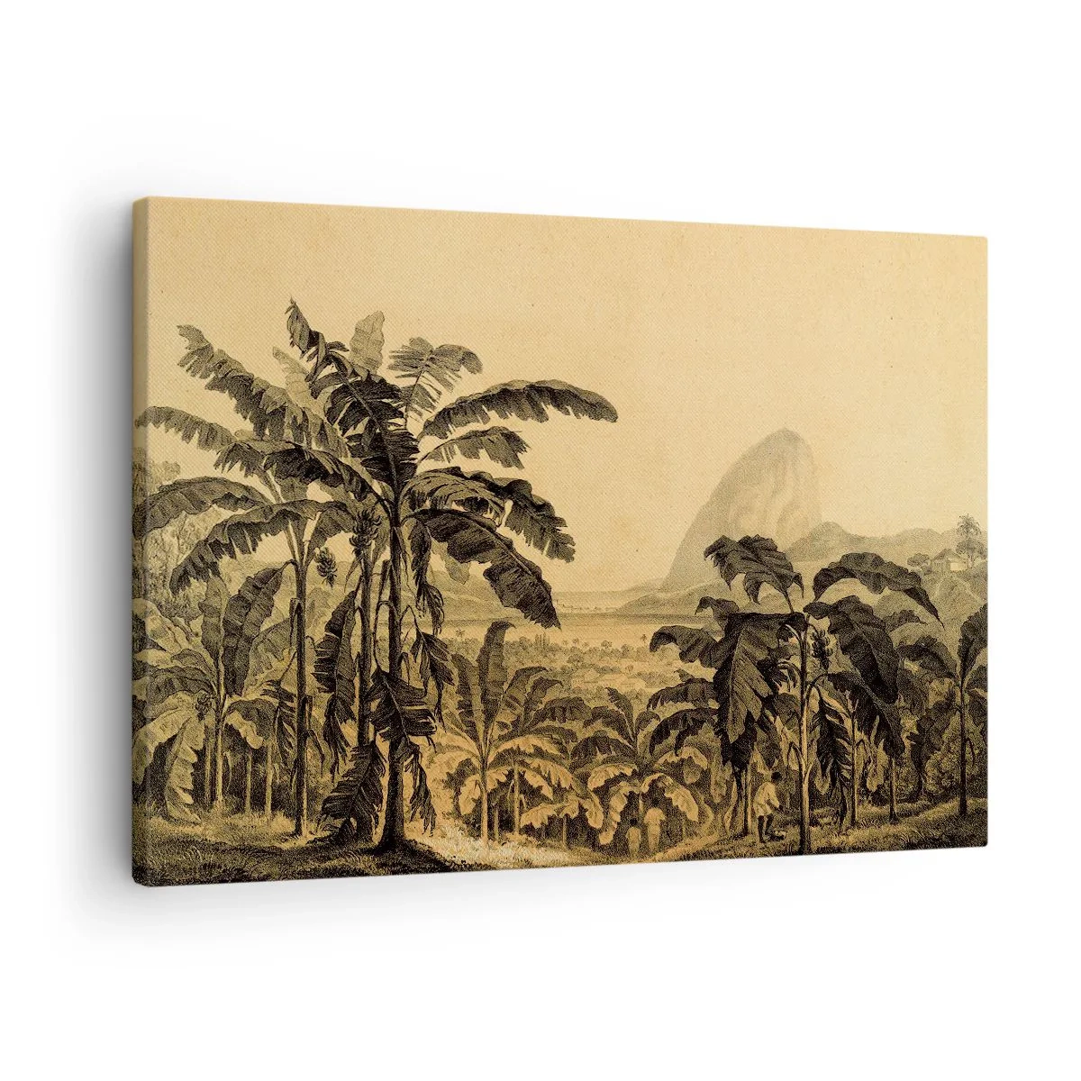 Schilderen op canvas - Tekening van bananenbomen tegen een tropische landschapsachtergrond - 70x50cm - in een koloniaal klimaat - Moderne wanddecoratie voor woonkamer en slaapkamer ARTTOR
