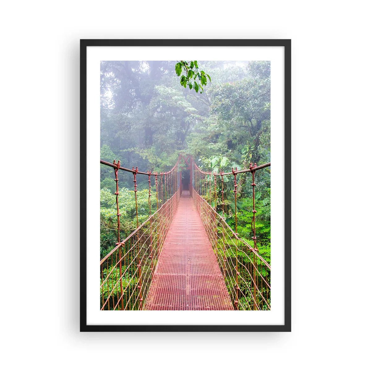 Poster in een zwarte lijst - Een hangbrug in een tropisch bos gehuld in mist - 50x70cm - Opgehangen over de kronen - Moderne wanddecoratie voor woonkamer en slaapkamer ARTTOR