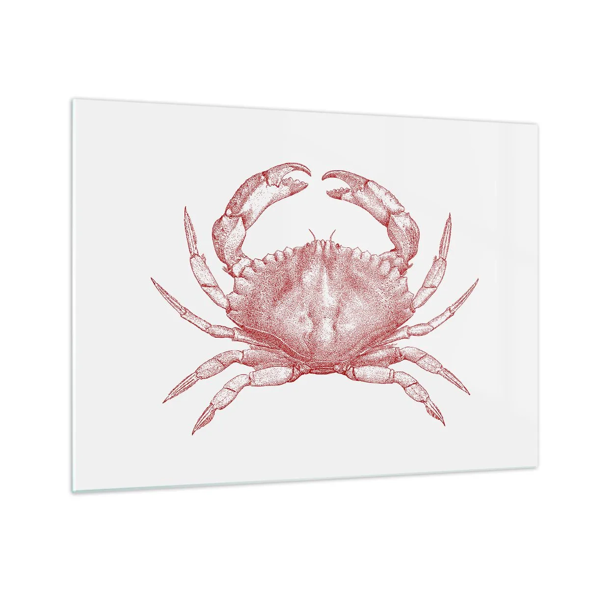 Schilderen op glas - Schets van een rode krab op een lichte achtergrond in retrostijl - 70x50cm - Krab der krabben - Moderne wanddecoratie voor woonkamer en slaapkamer ARTTOR