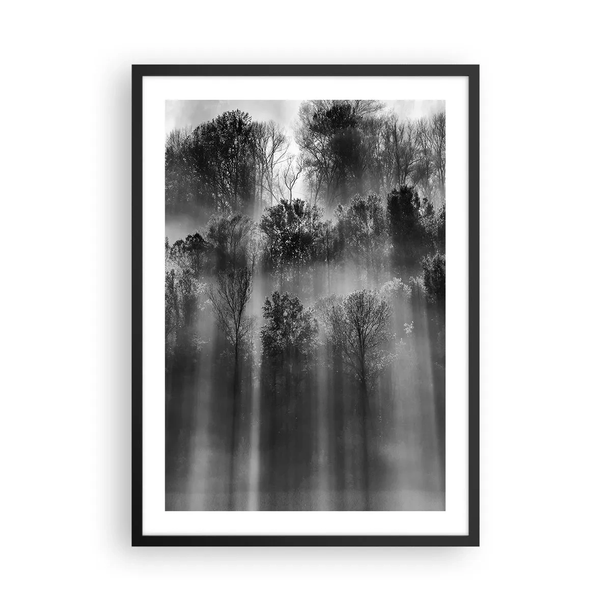 Poster in een zwarte lijst - Zwart-wit bos in de mist met zonnestralen - 50x70cm - In stromen van licht - Moderne wanddecoratie voor woonkamer en slaapkamer ARTTOR