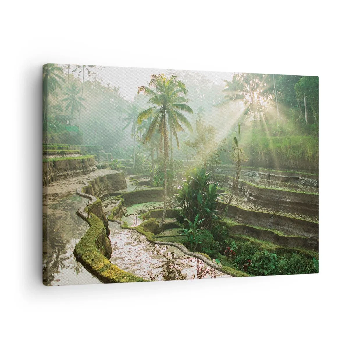 Schilderen op canvas - Rijstterrassen met palmbomen in de zonnestralen - 70x50cm - Opgroeien in de zon - Moderne wanddecoratie voor woonkamer en slaapkamer ARTTOR
