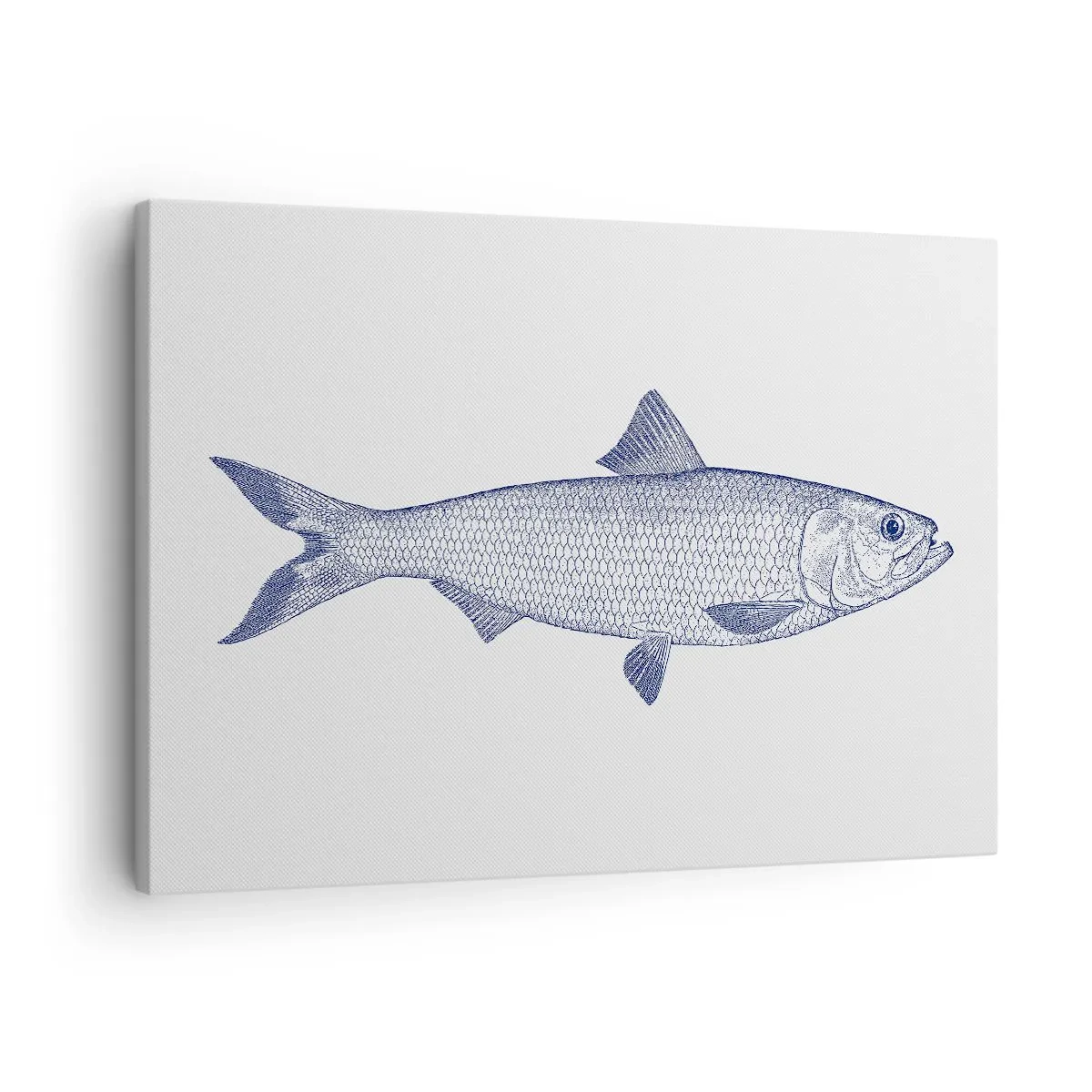Schilderen op canvas - Illustratie van een vis in blauwtinten op een lichte achtergrond - 70x50cm - Groeten uit de noordelijke zeeën - Moderne wanddecoratie voor woonkamer en slaapkamer ARTTOR