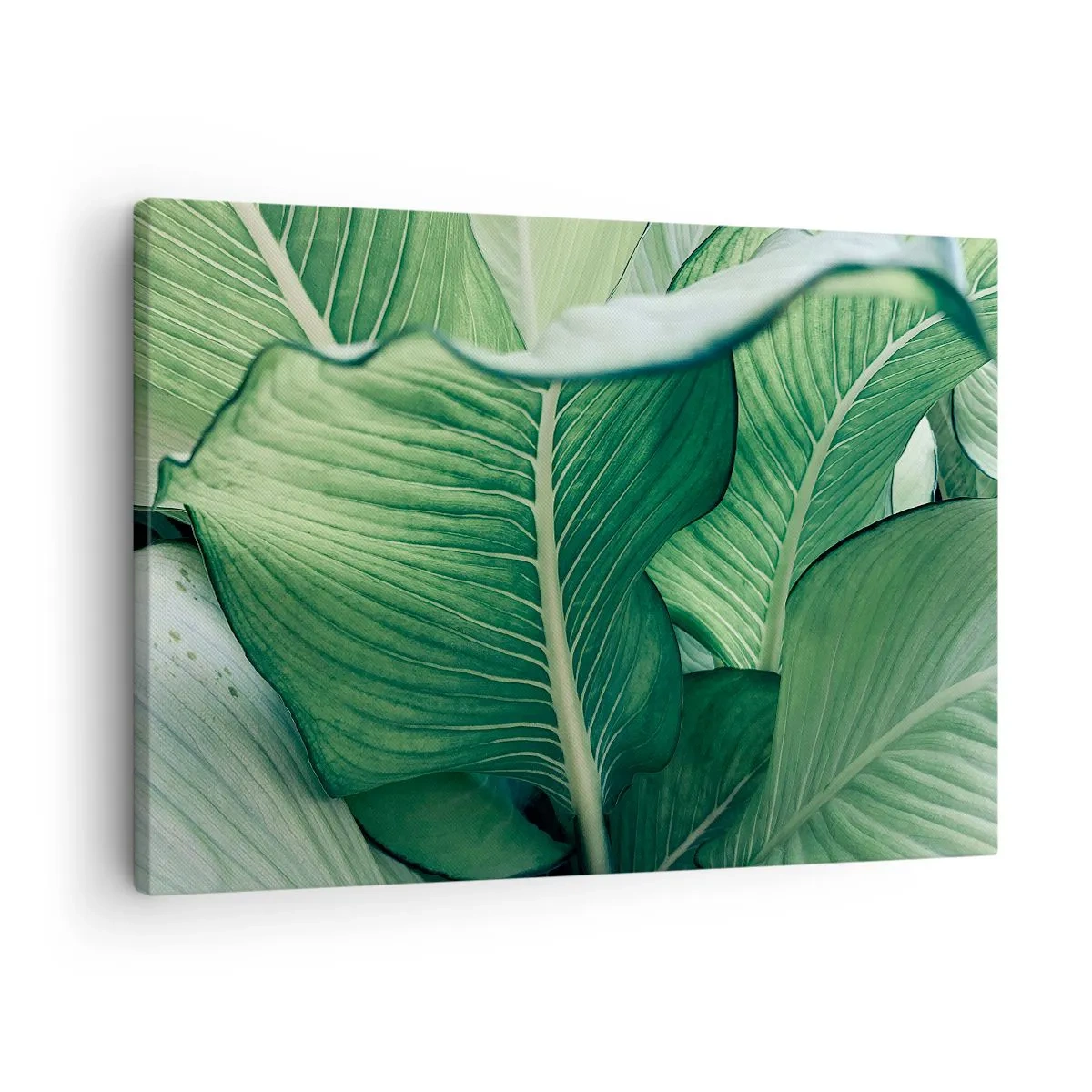 Schilderen op canvas - Groene bladeren met expressieve details en structuur - 70x50cm - Intens groen leven - Moderne wanddecoratie voor woonkamer en slaapkamer ARTTOR