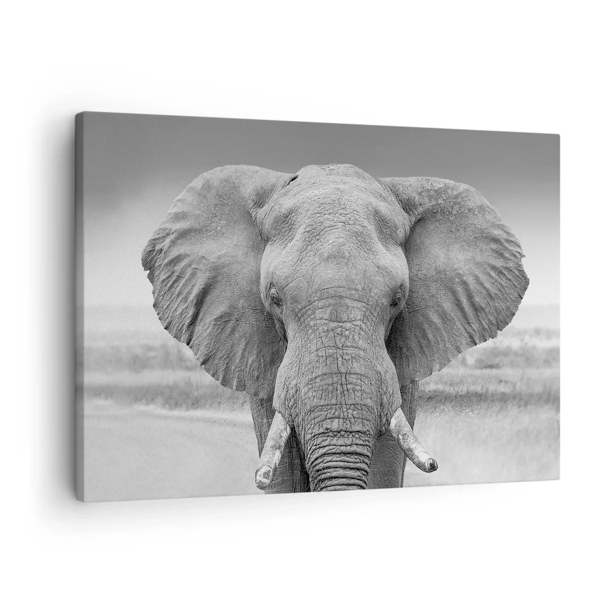 Schilderen op canvas - Portret van een olifant in zwart-wit - 70x50cm - Welkom in mijn wereld - Moderne wanddecoratie voor woonkamer en slaapkamer ARTTOR