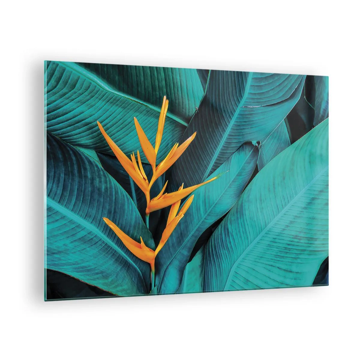 Schilderen op glas - Een exotische bloem tegen een achtergrond van grote groene bladeren. - 70x50cm - Eden bloem - Moderne wanddecoratie voor woonkamer en slaapkamer ARTTOR
