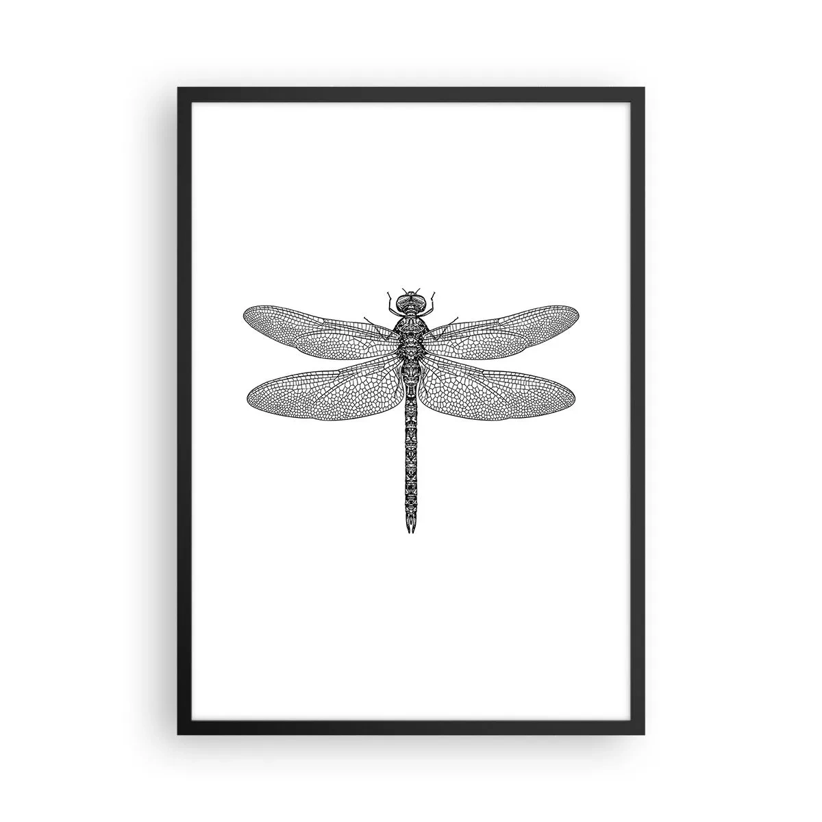 Poster in een zwarte lijst - Zwart-witillustratie van een libel op een witte achtergrond - 50x70cm - Precisie van de natuur - Moderne wanddecoratie voor woonkamer en slaapkamer ARTTOR