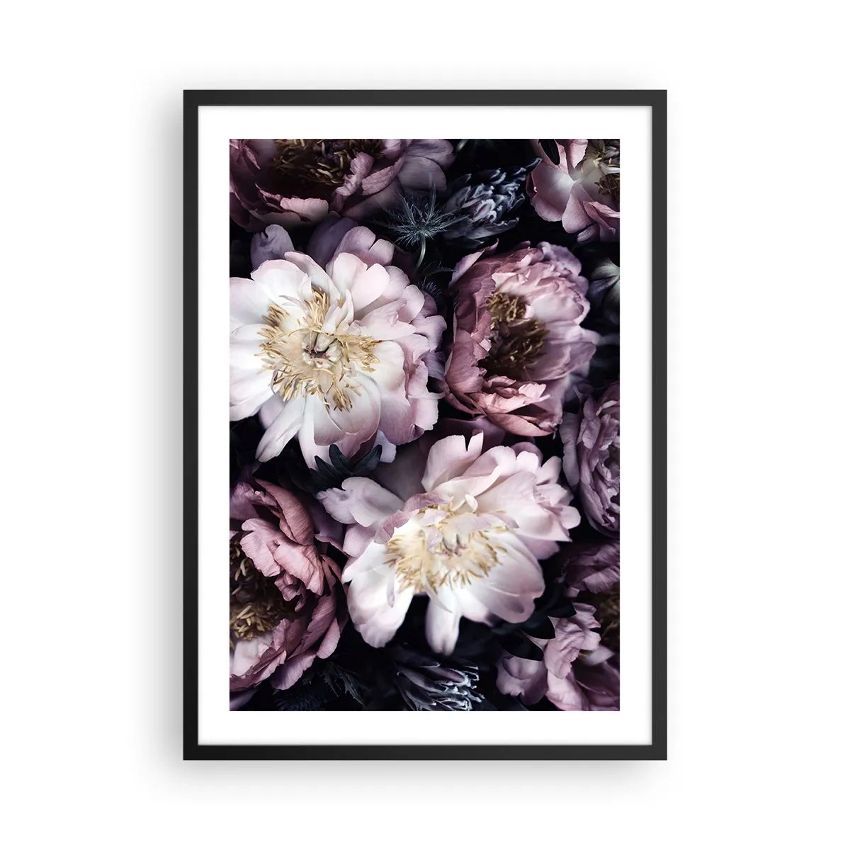Poster in een zwarte lijst - Delicate pioenrozen in gedempte kleuren - 50x70cm - Boeket ouderwets - Moderne wanddecoratie voor woonkamer en slaapkamer ARTTOR