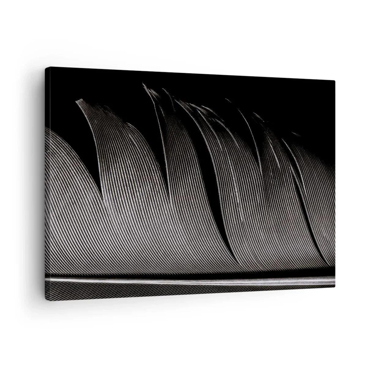 Schilderen op canvas - Zwart-witte veertextuur in een minimalistische stijl - 70x50cm - Een veer - prachtig ontwerp - Moderne wanddecoratie voor woonkamer en slaapkamer ARTTOR
