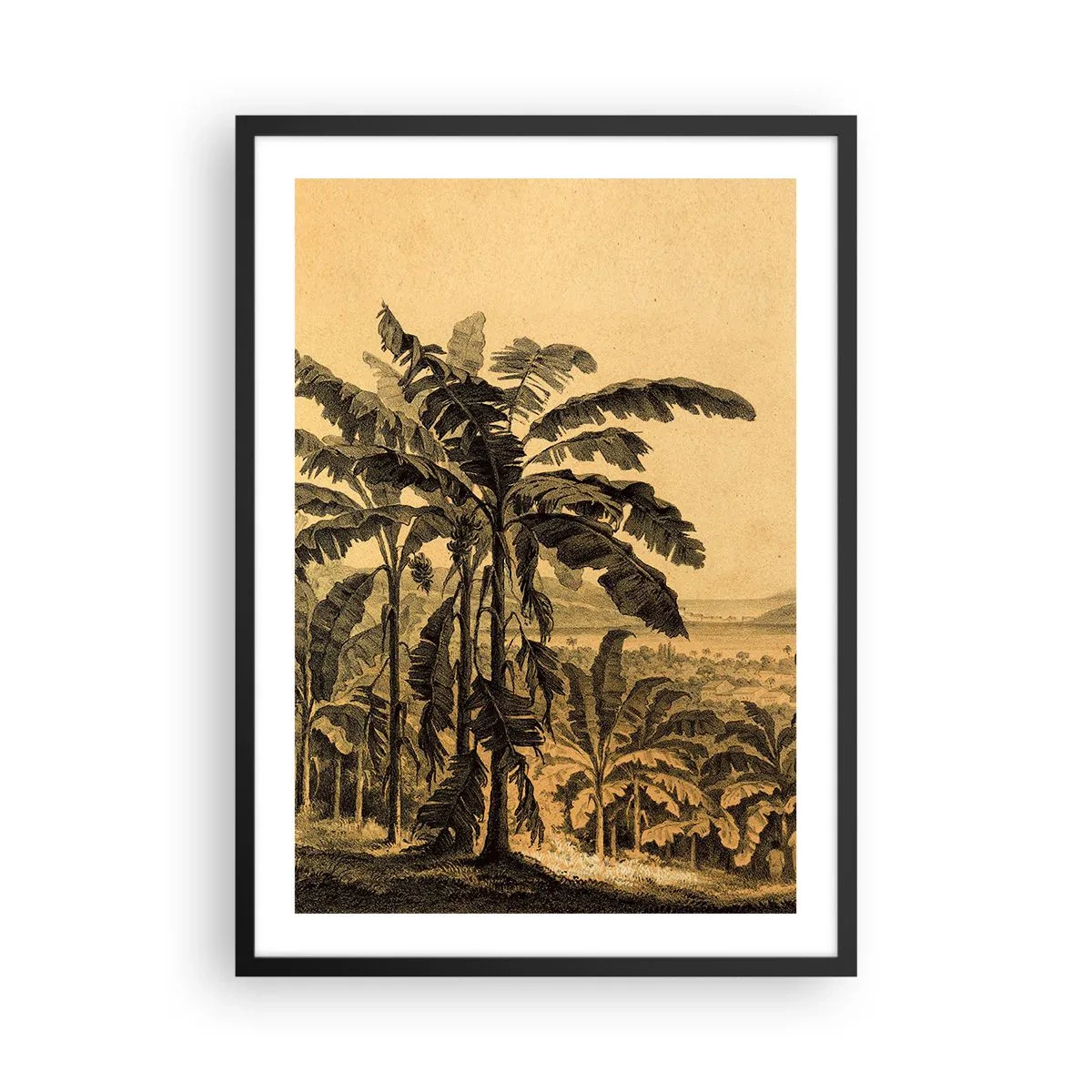Poster in een zwarte lijst - Illustratie van palmbomen tegen een tropische landschapsachtergrond - 50x70cm - in een koloniaal klimaat - Moderne wanddecoratie voor woonkamer en slaapkamer ARTTOR