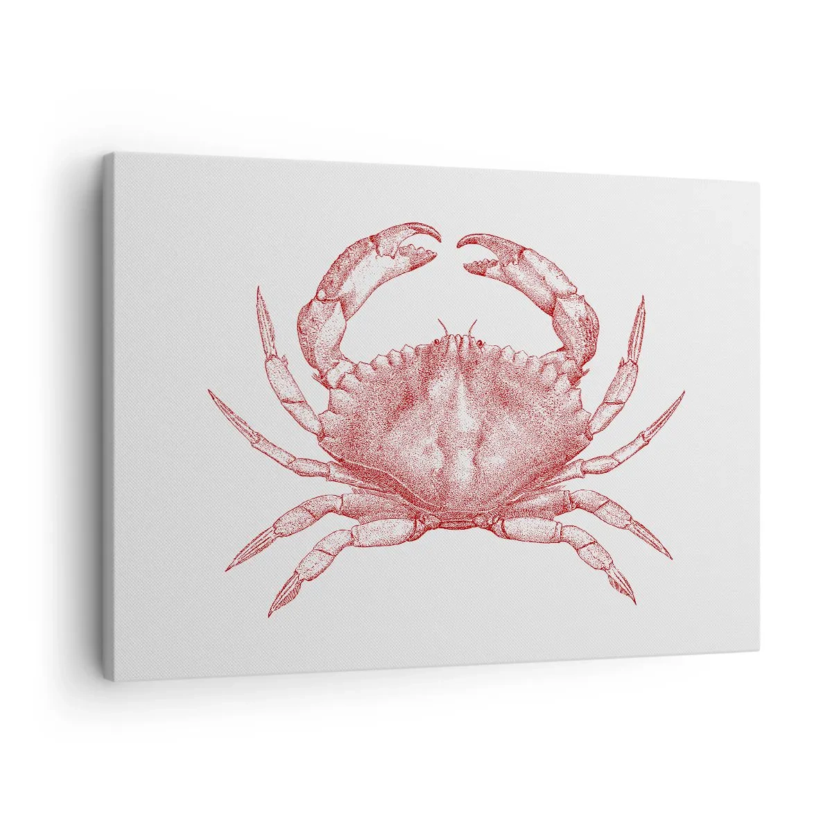 Schilderen op canvas - Tekening van een krab in een rode tint - 70x50cm - Krab der krabben - Moderne wanddecoratie voor woonkamer en slaapkamer ARTTOR