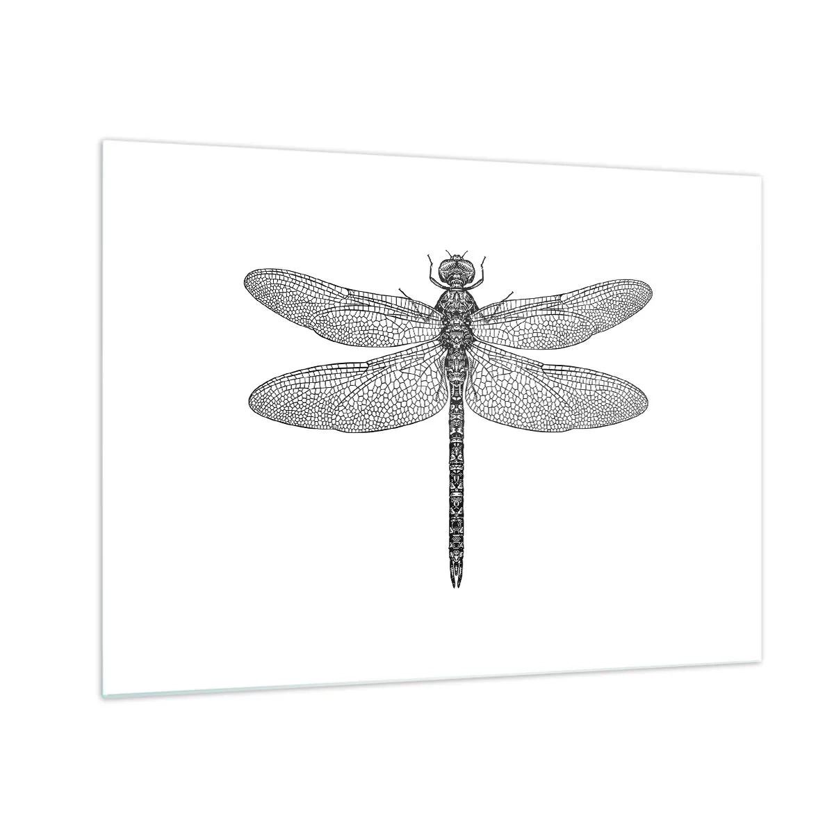 Schilderen op glas - Gedetailleerde illustratie van een libel in graveerstijl op een witte achtergrond - 70x50cm - Precisie van de natuur - Moderne wanddecoratie voor woonkamer en slaapkamer ARTTOR