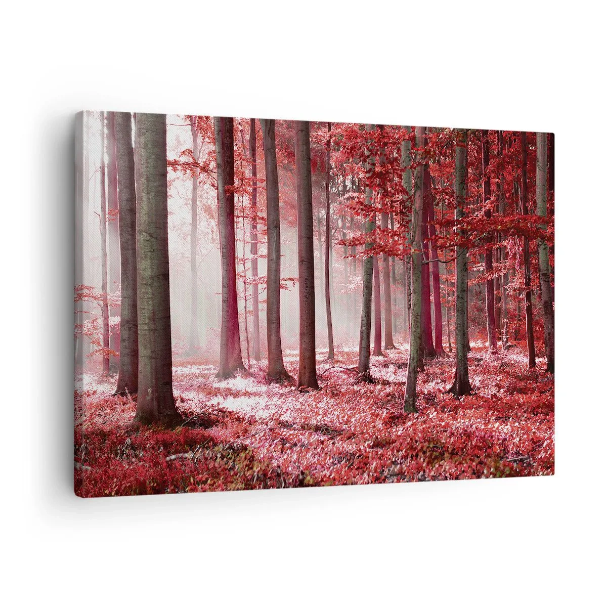 Schilderen op canvas - Een prachtig bos in rode tinten met lichtstralen die door de bomen heen dringen - 70x50cm - Rood is net zo mooi - Moderne wanddecoratie voor woonkamer en slaapkamer ARTTOR
