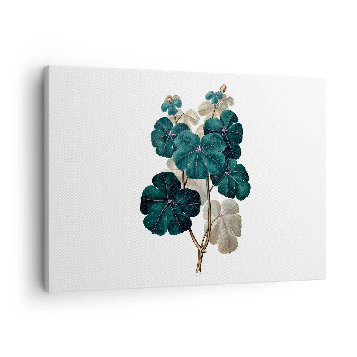 Schilderen op canvas - Botanische illustratie met bladeren in tinten groen en beige - 70x50cm - Uit het oude herbarium - Moderne wanddecoratie voor woonkamer en slaapkamer ARTTOR