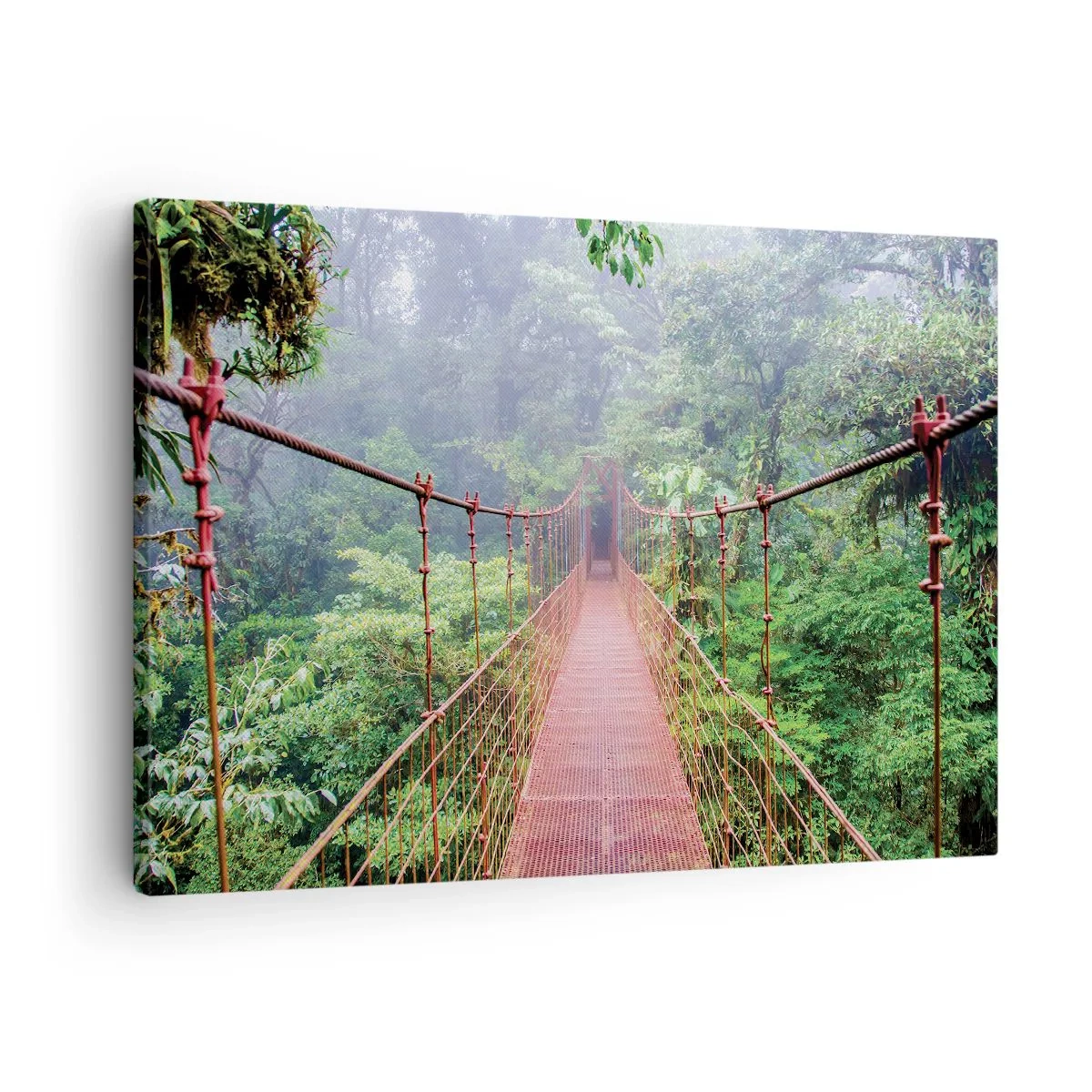 Schilderen op canvas - Een hangbrug in een tropische jungle omgeven door mist - 70x50cm - Opgehangen over de kronen - Moderne wanddecoratie voor woonkamer en slaapkamer ARTTOR