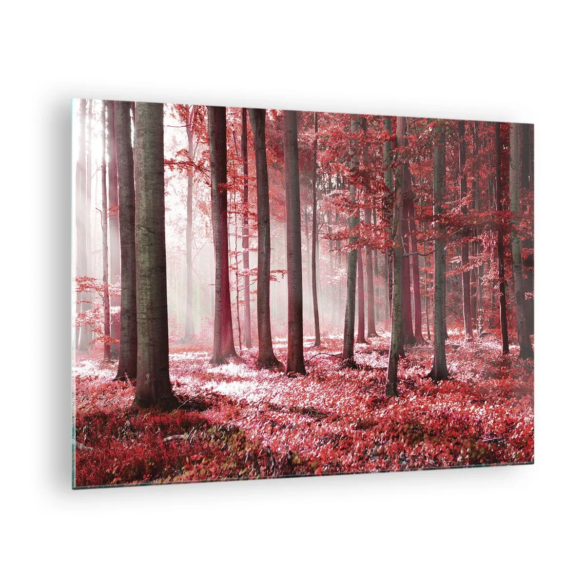 Schilderen op glas - Herfstbos in rode kleuren en ochtendmist - 70x50cm - Rood is net zo mooi - Moderne wanddecoratie voor woonkamer en slaapkamer ARTTOR