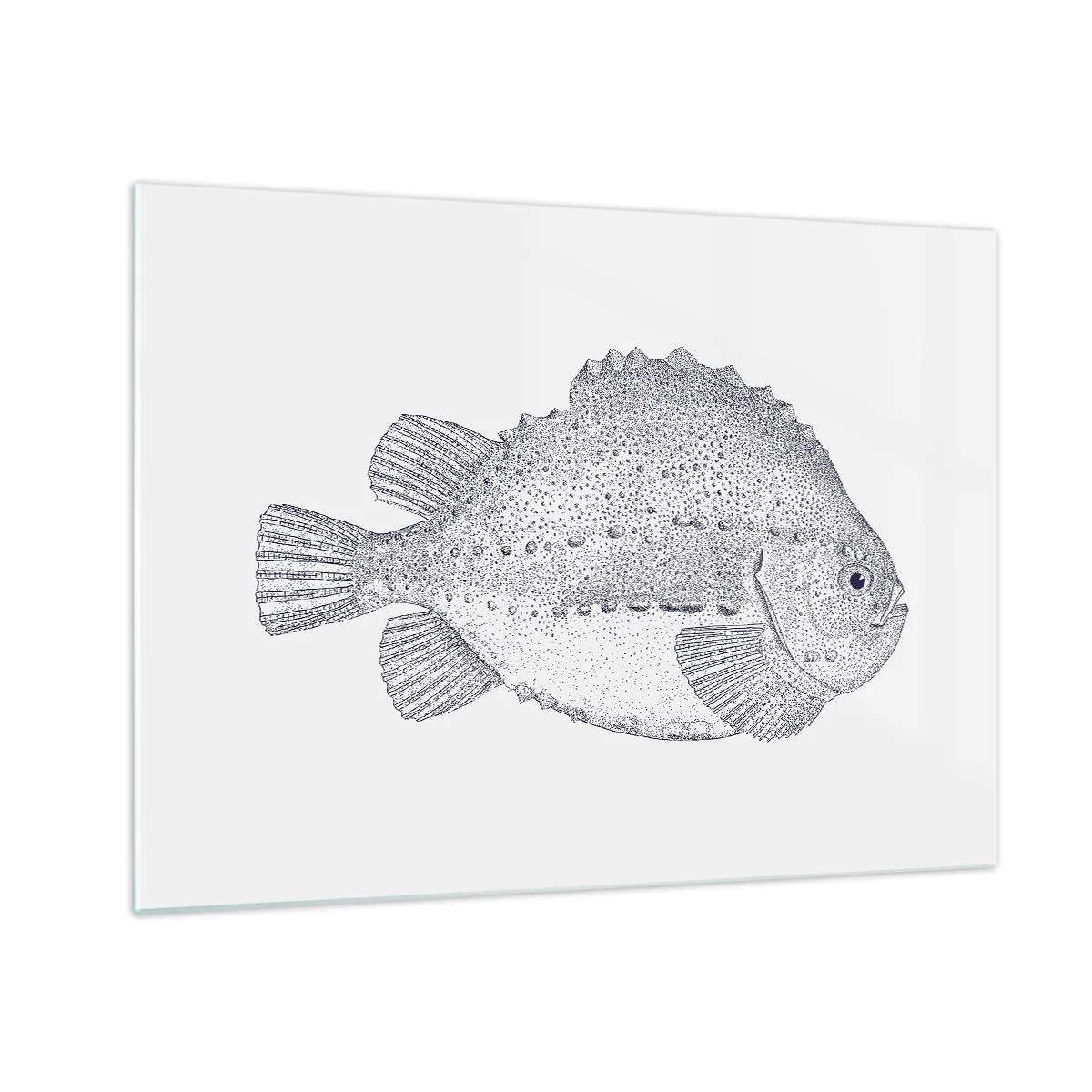 Schilderen op glas - Gedetailleerde gravure van een vis op een witte achtergrond in een natuurstijl - 70x50cm - Voor het album van de natuuronderzoeker - Moderne wanddecoratie voor woonkamer en slaapkamer ARTTOR