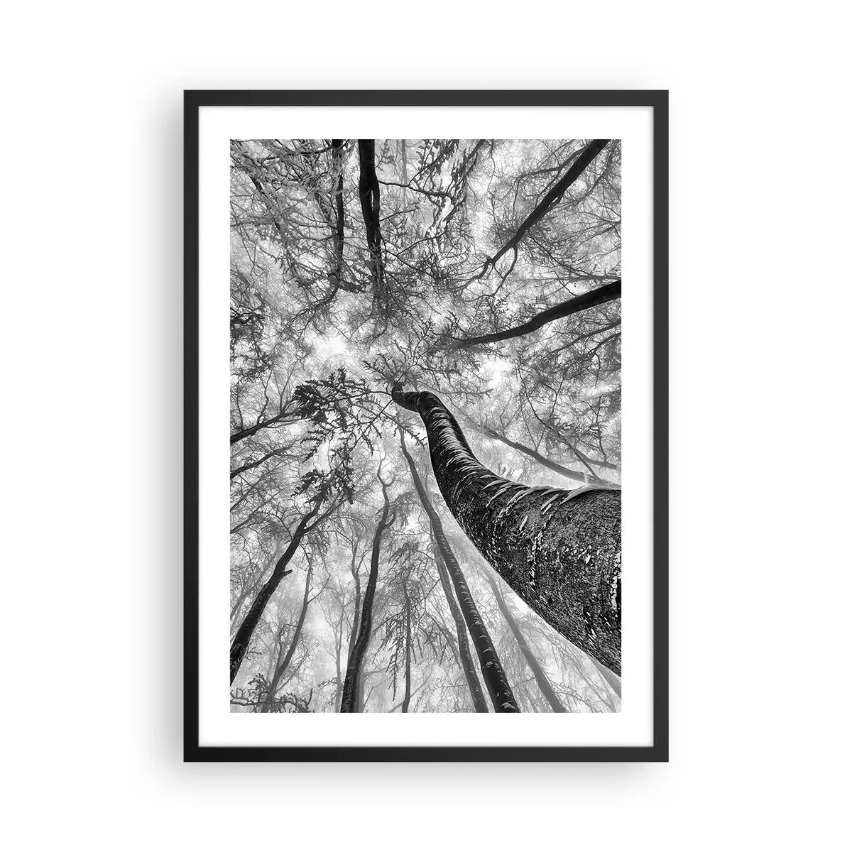 Poster in een zwarte lijst - Perspectief van bomen in zwart-wit - 50x70cm - Race naar het licht - Moderne wanddecoratie voor woonkamer en slaapkamer ARTTOR
