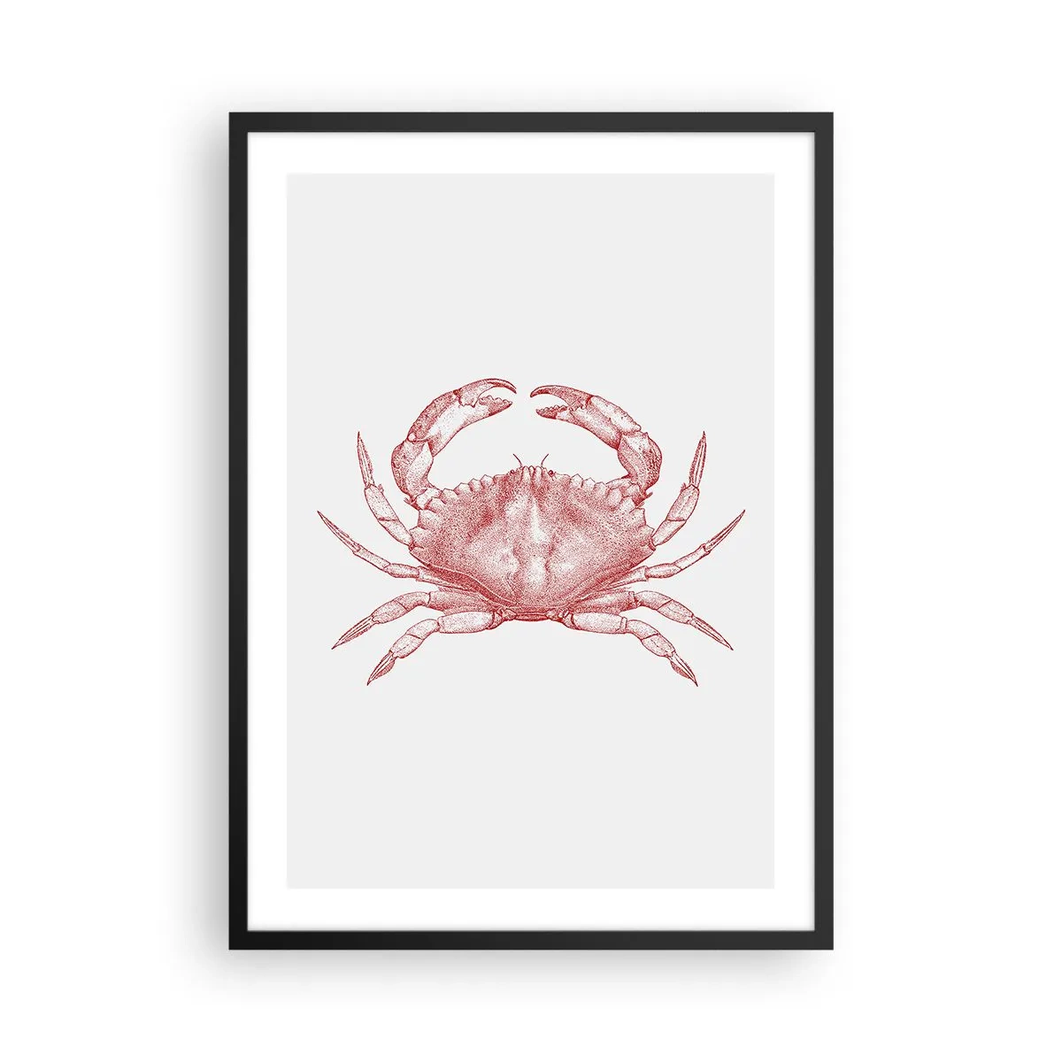 Poster in een zwarte lijst - Vintage krabtekening op een lichte achtergrond - 50x70cm - Krab der krabben - Moderne wanddecoratie voor woonkamer en slaapkamer ARTTOR