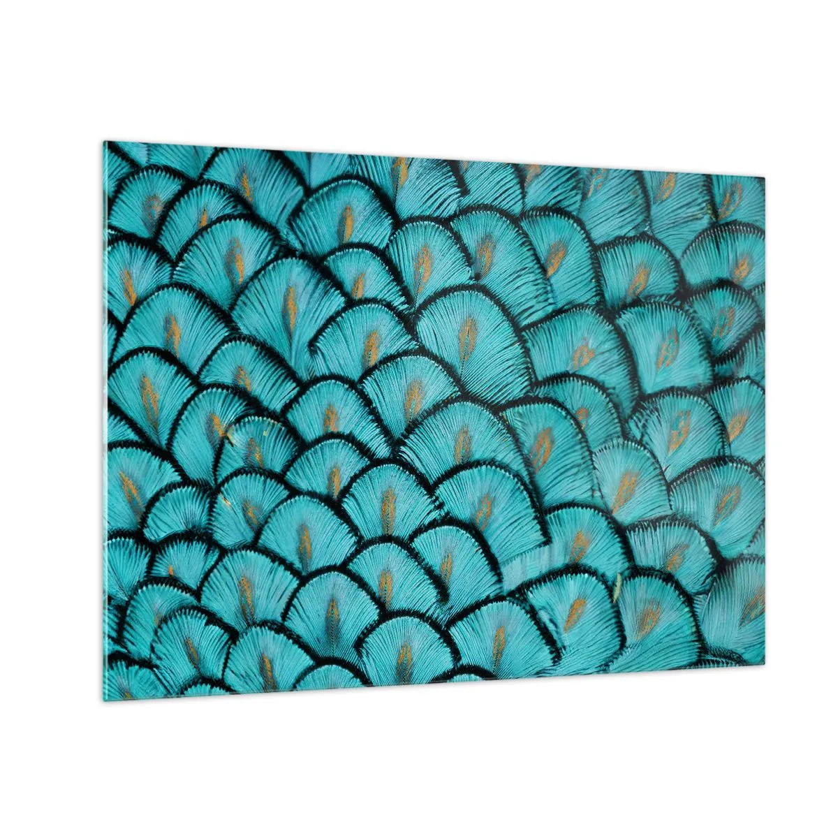 Schilderen op glas - Een close-up van turquoise pauwenveren die een decoratief patroon vormen. - 70x50cm - Het grote verengala - Moderne wanddecoratie voor woonkamer en slaapkamer ARTTOR