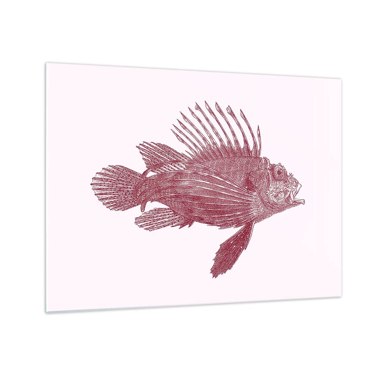 Schilderen op glas - Schets van een exotische vis in bordeauxrode kleur op een lichte achtergrond - 70x50cm - Inwoner van exotische wateren - Moderne wanddecoratie voor woonkamer en slaapkamer ARTTOR