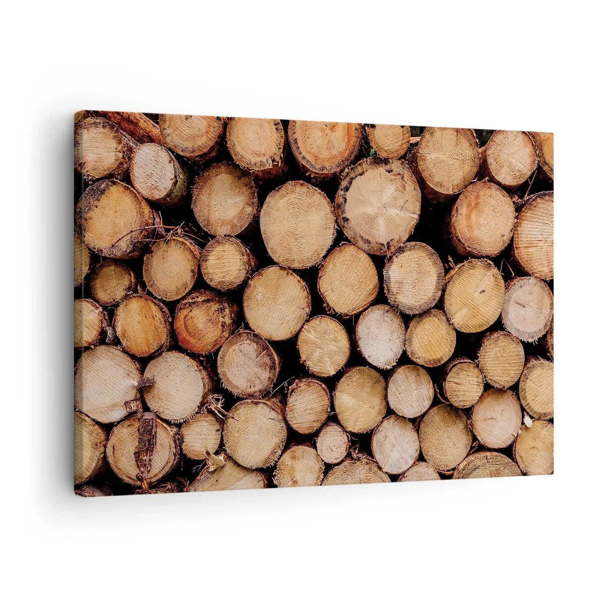 Schilderen op canvas - Stapels gekapte boomstammen, in harmonie gerangschikt - 70x50cm - Een nieuw begin - Moderne wanddecoratie voor woonkamer en slaapkamer ARTTOR