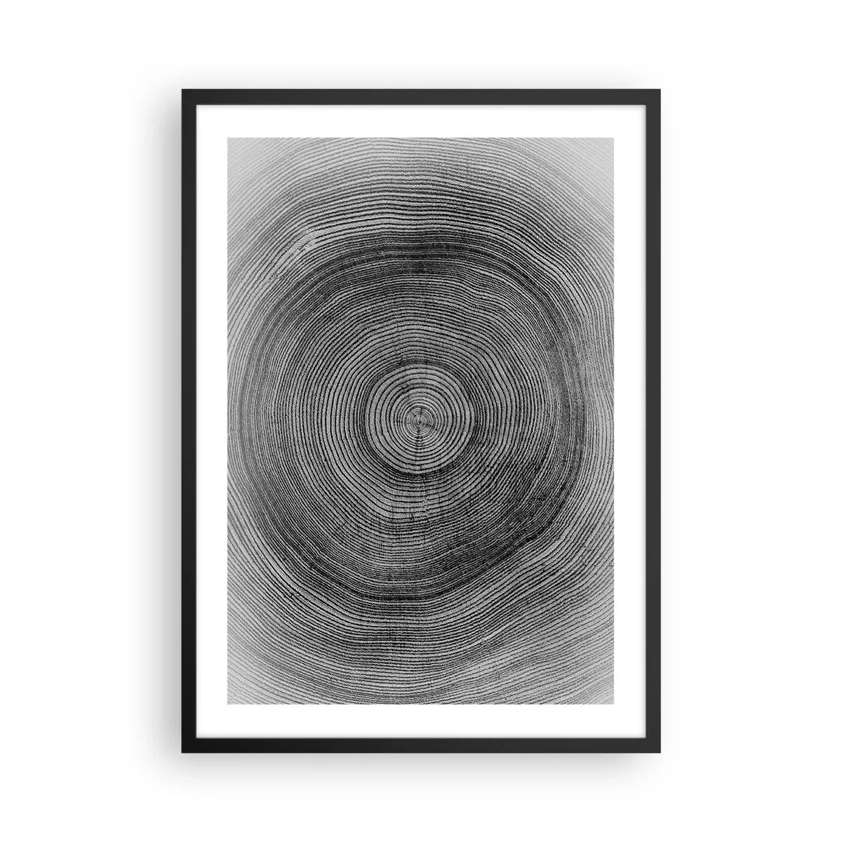 Poster in een zwarte lijst - Zwart-witafbeelding van een dwarsdoorsnede van een boomstam - 50x70cm - Teken van de tijden - Moderne wanddecoratie voor woonkamer en slaapkamer ARTTOR