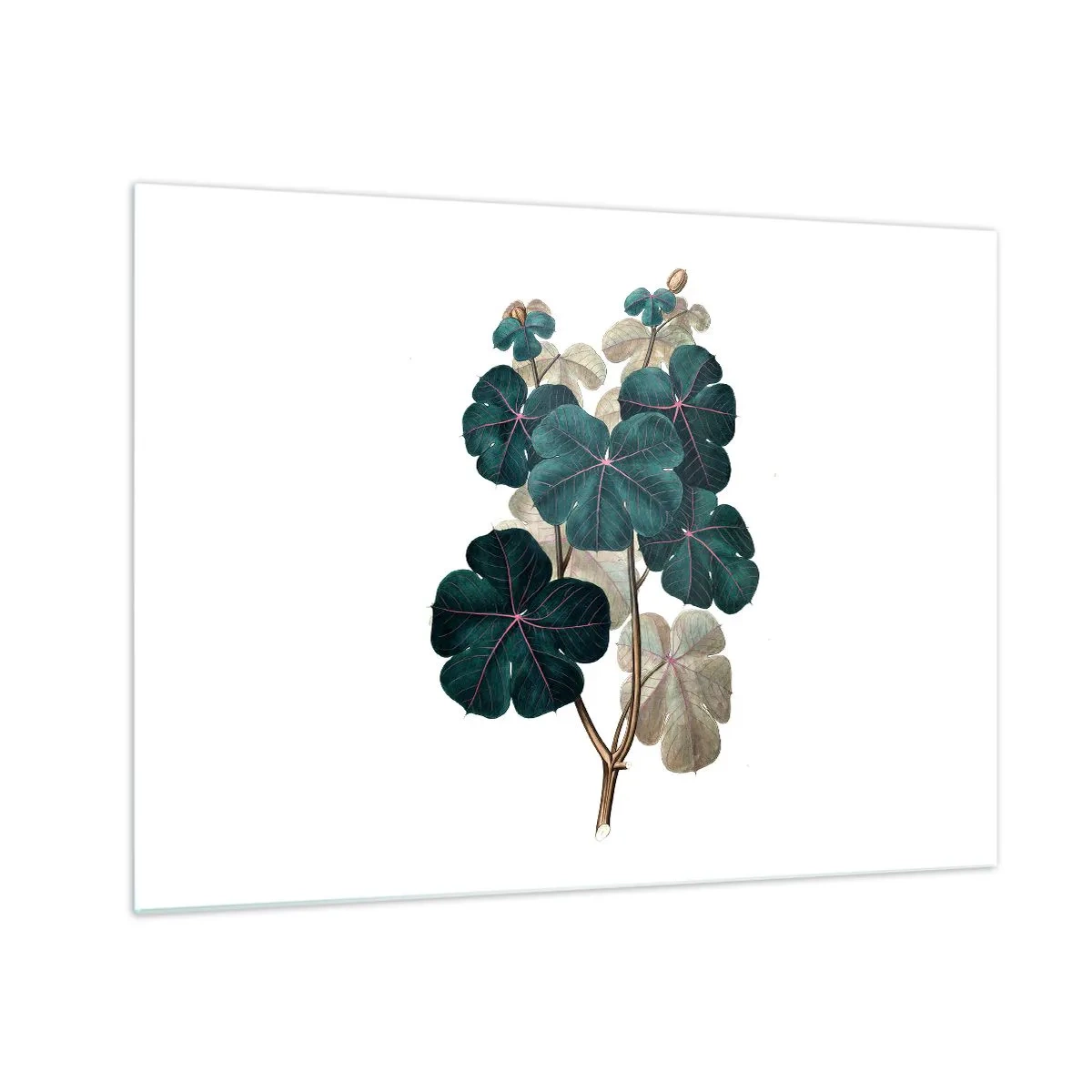 Schilderen op glas - Botanische illustratie van groene bladeren op een witte achtergrond - 70x50cm - Uit het oude herbarium - Moderne wanddecoratie voor woonkamer en slaapkamer ARTTOR