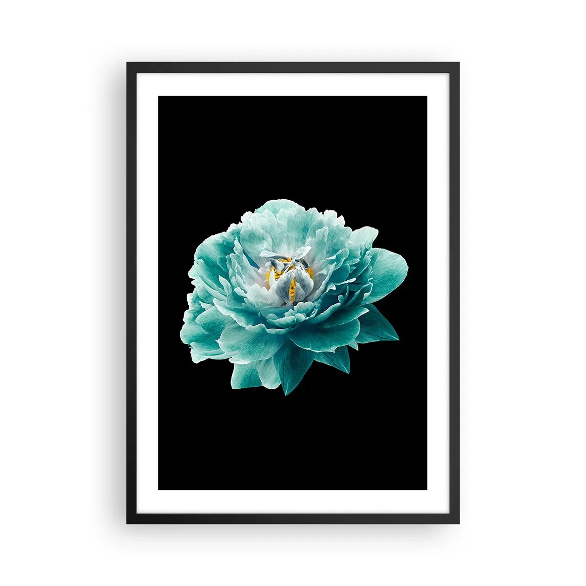 Poster in een zwarte lijst - Turquoise bloem met een bij op een zwarte achtergrond - 50x70cm - Blauwe en gouden bloemblaadjes - Moderne wanddecoratie voor woonkamer en slaapkamer ARTTOR