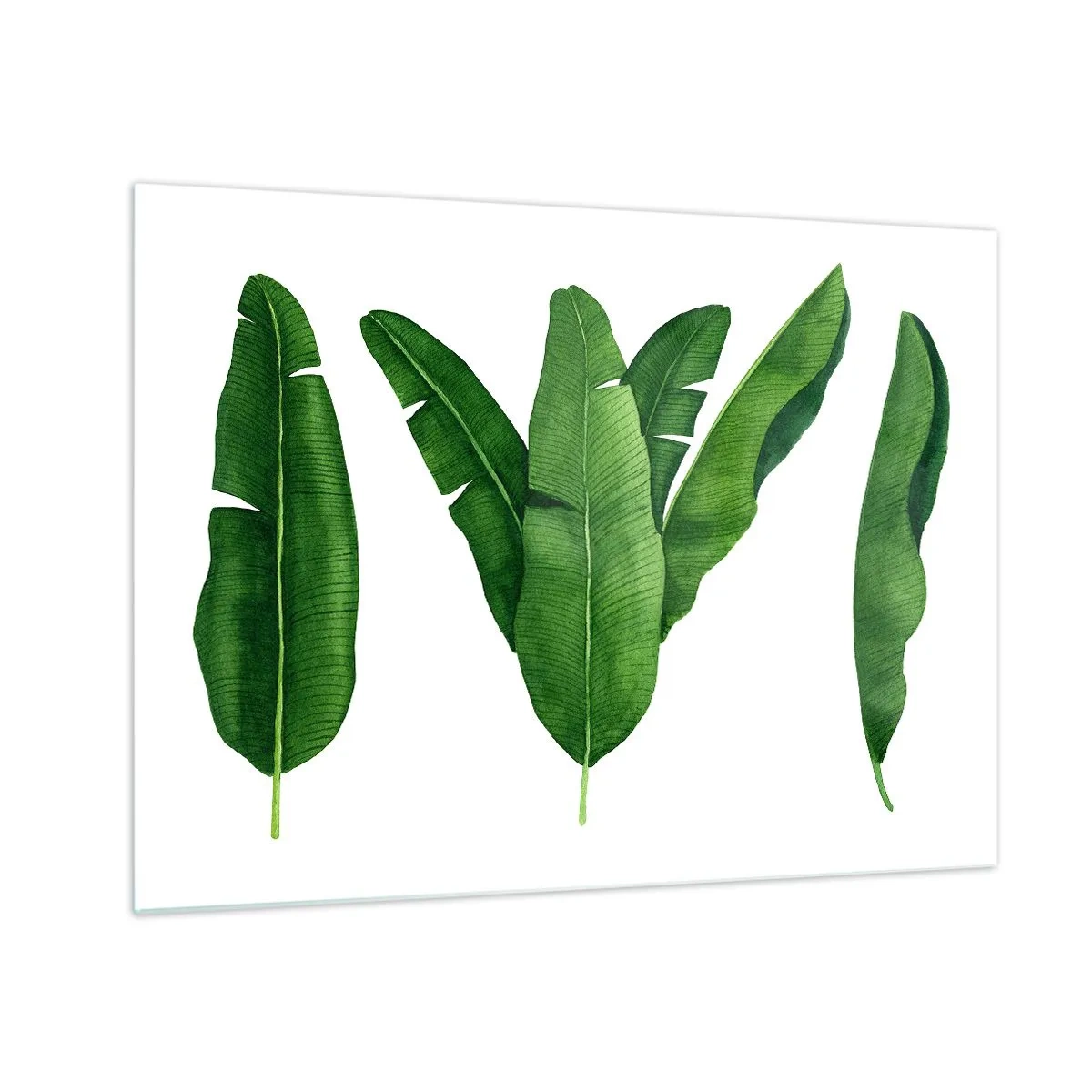 Schilderen op glas - Vier groene bananenbladeren op een witte achtergrond - 70x50cm - Groene symmetrie - Moderne wanddecoratie voor woonkamer en slaapkamer ARTTOR