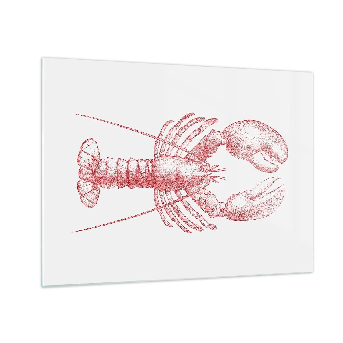 Schilderen op glas - Schets van een kreeft in het rood op een lichte achtergrond - 70x50cm - Een kreeft waardig Homer - Moderne wanddecoratie voor woonkamer en slaapkamer ARTTOR