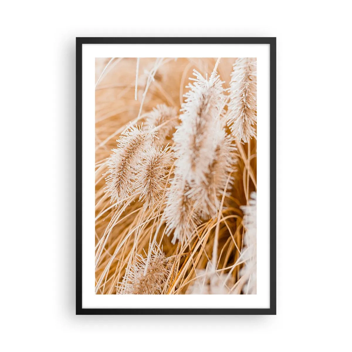 Poster in een zwarte lijst - Fijne grassprieten in pasteltinten beige - 50x70cm - Het gouden geritsel van het gras - Moderne wanddecoratie voor woonkamer en slaapkamer ARTTOR