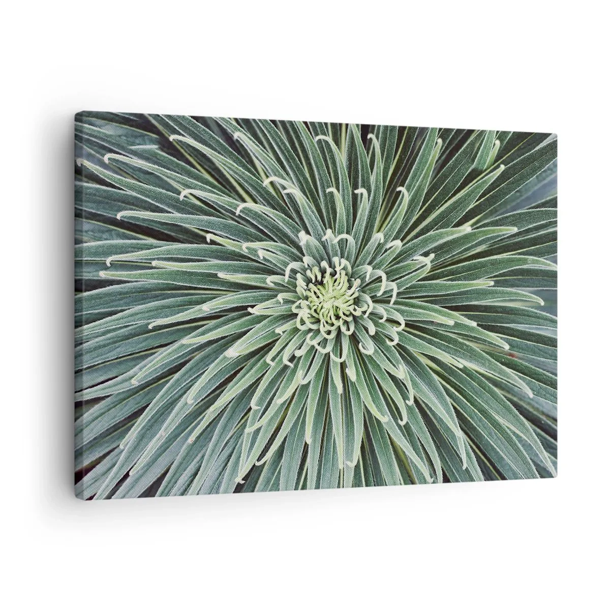 Schilderen op canvas - Symmetrische rangschikking van groene bladeren die op een ster lijken - 70x50cm - Een ster is geboren - Moderne wanddecoratie voor woonkamer en slaapkamer ARTTOR